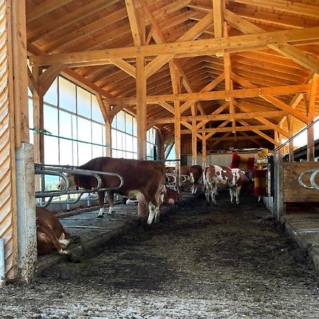 Landgasthof Blasini - Pfahlhof Zandt Exteriér fotografie