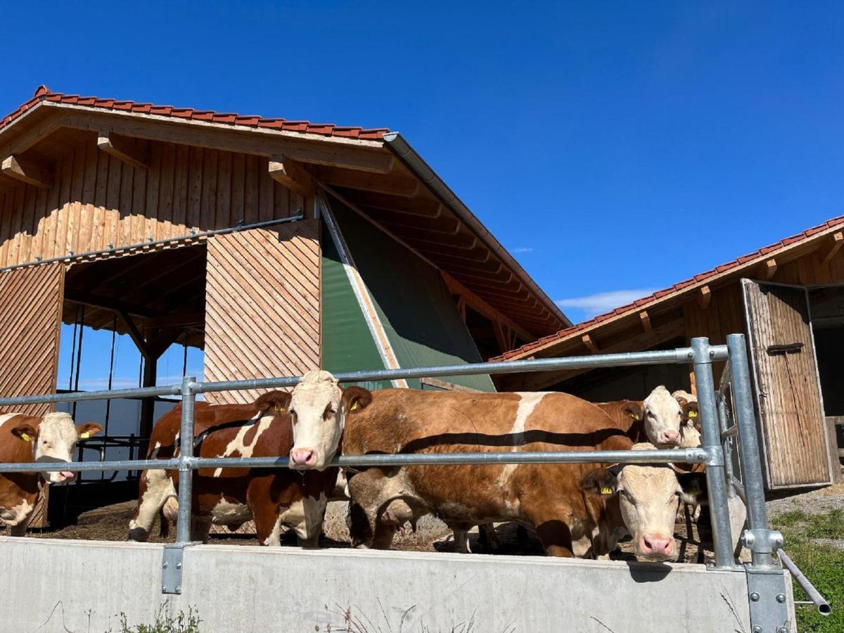 Landgasthof Blasini - Pfahlhof Zandt Exteriér fotografie