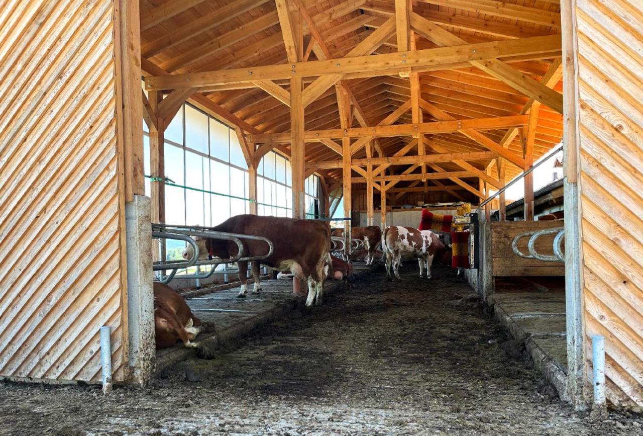 Landgasthof Blasini - Pfahlhof Zandt Exteriér fotografie