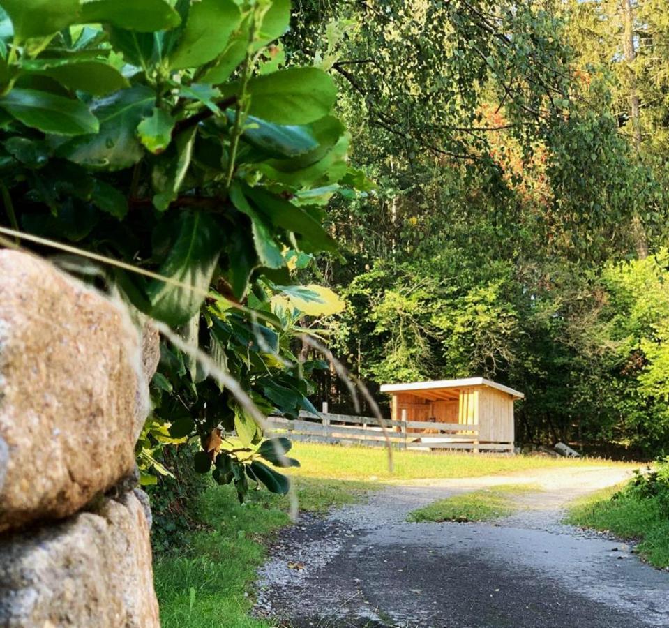 Landgasthof Blasini - Pfahlhof Zandt Exteriér fotografie
