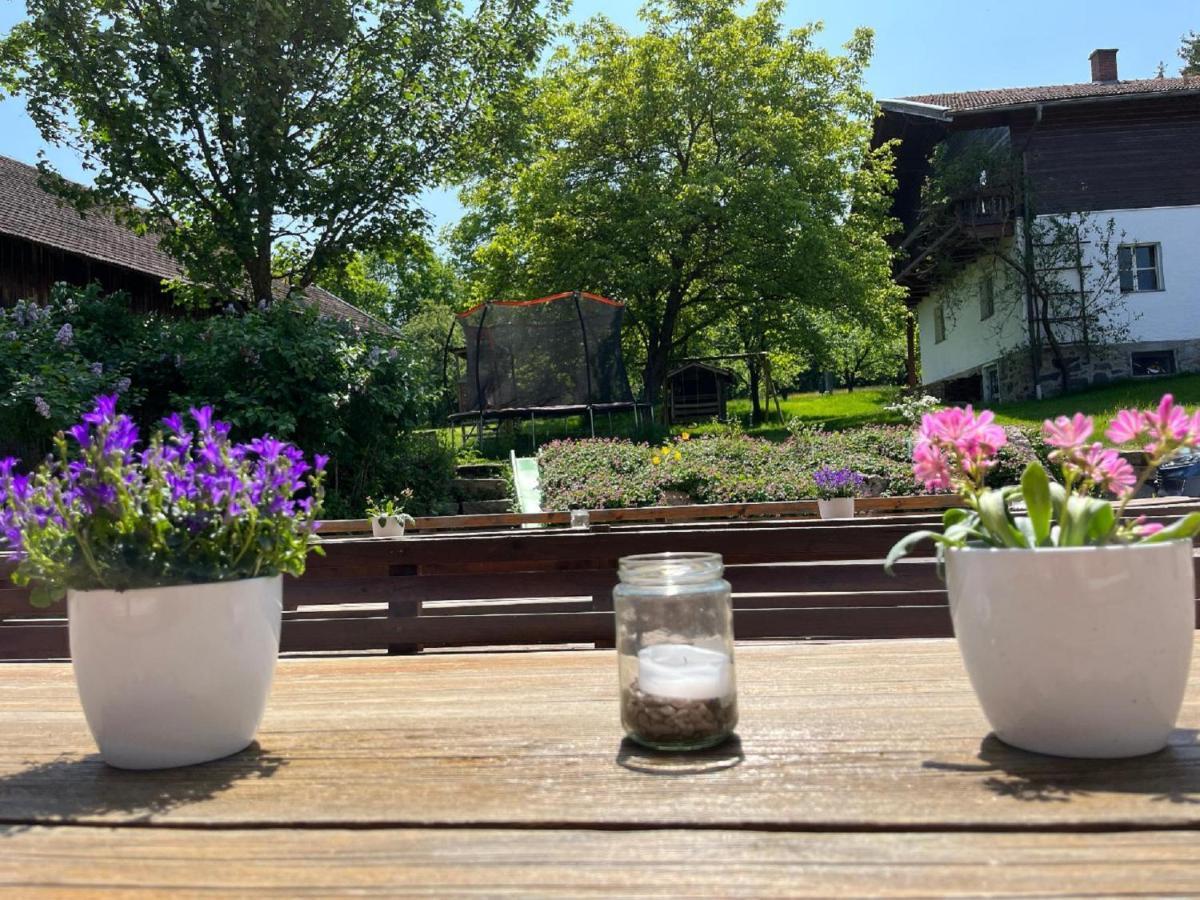 Landgasthof Blasini - Pfahlhof Zandt Exteriér fotografie