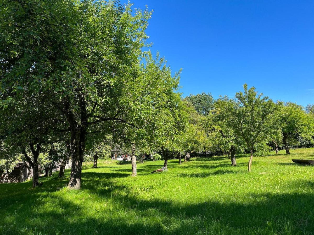 Landgasthof Blasini - Pfahlhof Zandt Exteriér fotografie